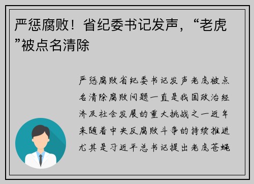 严惩腐败！省纪委书记发声，“老虎”被点名清除