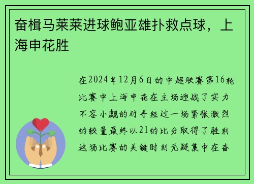 奋楫马莱莱进球鲍亚雄扑救点球，上海申花胜
